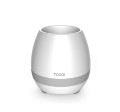 Touch-sensitive music vase desktop audio